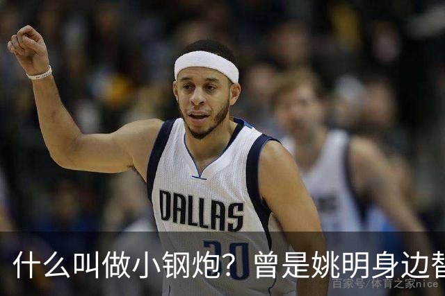 什么叫做小钢炮？曾是姚明身边替补！20年NBA赚2.82亿